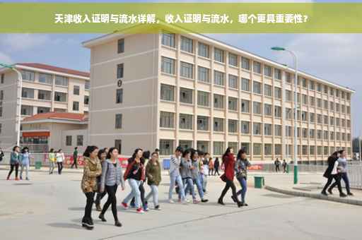 天津收入证明与流水详解，收入证明与流水，哪个更具重要性？