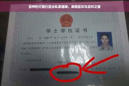 苏州代打银行流水乱象揭秘，真相探究与应对之策