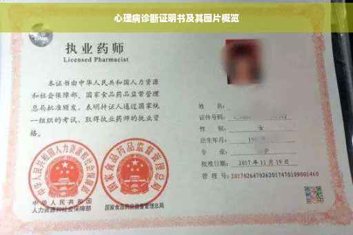 心理病诊断证明书及其图片概览