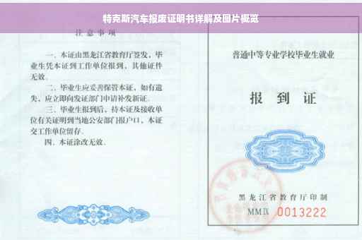 特克斯汽车报废证明书详解及图片概览