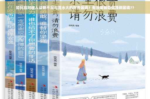 如何应对收入证明不足与流水大的财务困境？有效策略助你摆脱困境??