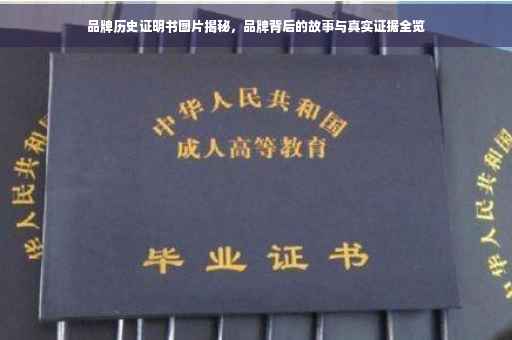 品牌历史证明书图片揭秘，品牌背后的故事与真实证据全览
