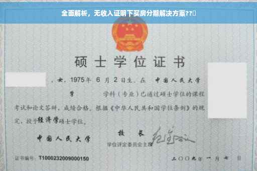 全面解析，无收入证明下买房分期解决方案??✨