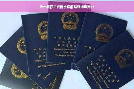 沧州银行工资流水详解与查询指南??