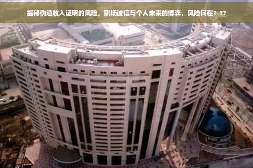 揭秘伪造收入证明的风险，职场诚信与个人未来的博弈，风险何在？??
