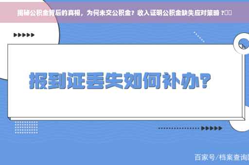 揭秘公积金背后的真相，为何未交公积金？收入证明公积金缺失应对策略 ?⚡️