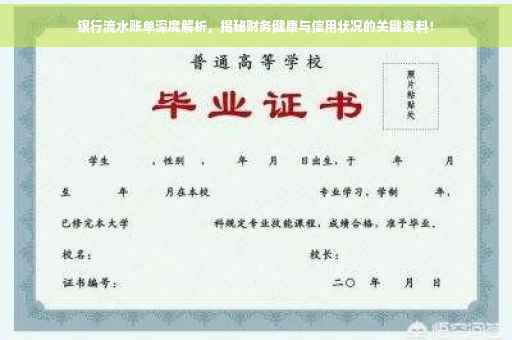银行流水账单深度解析，揭秘财务健康与信用状况的关键资料！