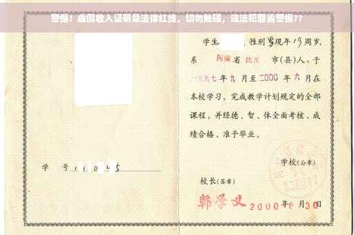 警惕！虚假收入证明是法律红线，切勿触碰，违法犯罪需警惕??