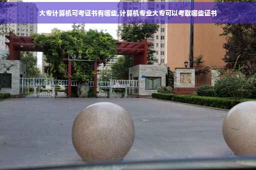 大专计算机可考证书有哪些,计算机专业大专可以考取哪些证书