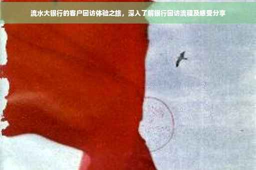 流水大银行的客户回访体验之旅，深入了解银行回访流程及感受分享