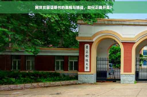 网贷贫困证明书的真相与挑战，如何正确开具？