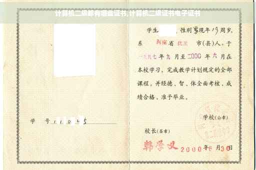 计算机二级都有哪些证书,计算机二级证书电子证书