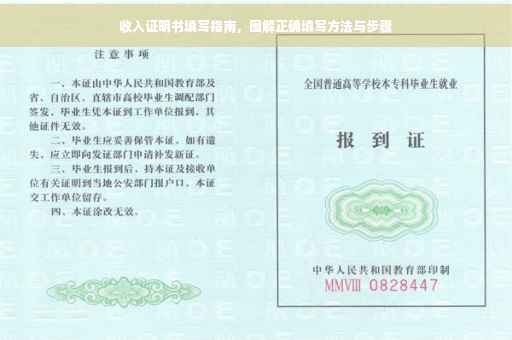 收入证明书填写指南，图解正确填写方法与步骤