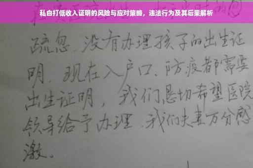 私自打低收入证明的风险与应对策略，违法行为及其后果解析