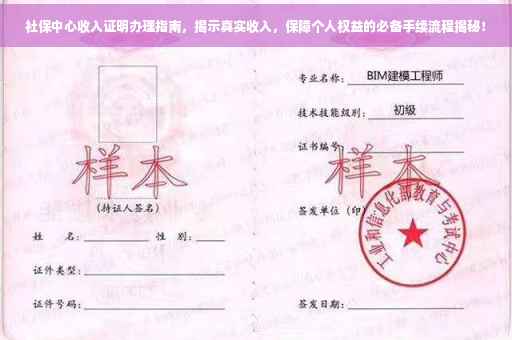 社保中心收入证明办理指南，揭示真实收入，保障个人权益的必备手续流程揭秘！