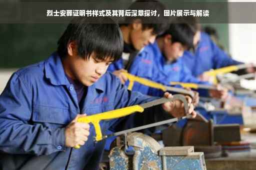烈士安葬证明书样式及其背后深意探讨，图片展示与解读