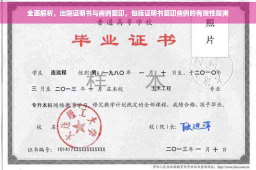 全面解析，出院证明书与病例复印，包括证明书复印病例的有效性指南