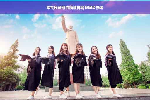 零气压证明书模板详解及图片参考