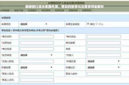 揭秘银行流水家属代查，背后的故事与注意事项全解析