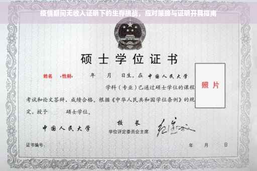 疫情期间无收入证明下的生存挑战，应对策略与证明开具指南