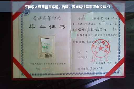 征信收入证明盖章详解，流程、要点与注意事项全攻略?✨