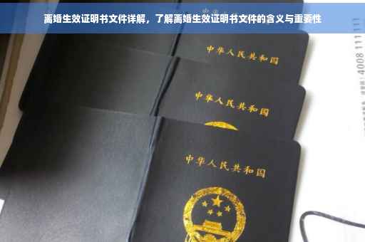 离婚生效证明书文件详解，了解离婚生效证明书文件的含义与重要性