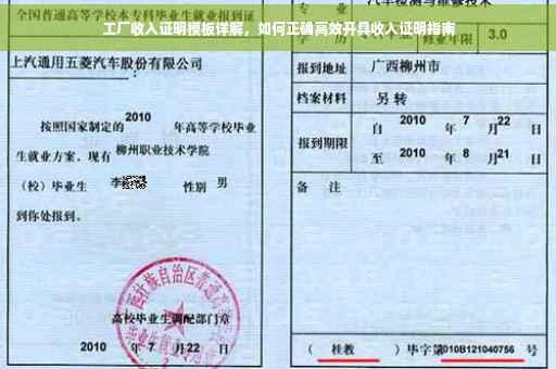 工厂收入证明模板详解，如何正确高效开具收入证明指南