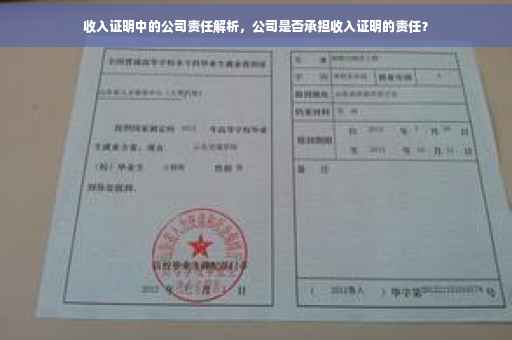 收入证明中的公司责任解析，公司是否承担收入证明的责任？
