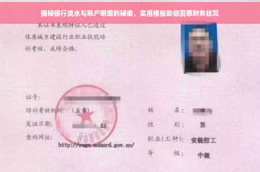 揭秘银行流水与账户明细的秘密，实用模板助你洞悉财务状况