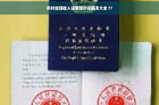 农村低保收入证明图片详解及大全 ??