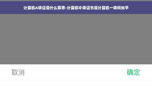 计算机A级证是什么意思-计算机中级证书是计算机一级吗知乎