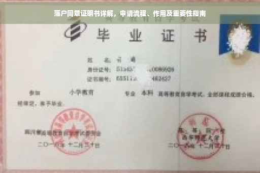 落户同意证明书详解，申请流程、作用及重要性指南