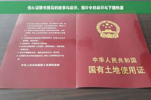 伤心证明书背后的故事与启示，图片中的启示与下载热潮