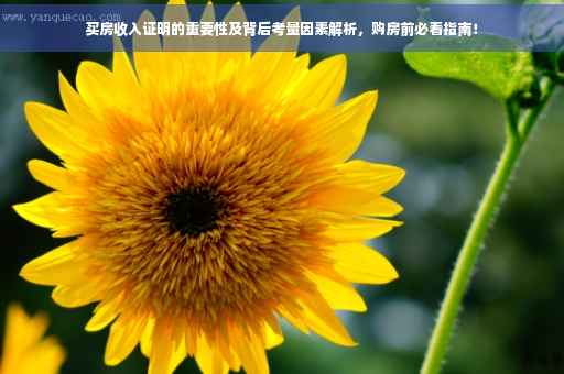买房收入证明的重要性及背后考量因素解析，购房前必看指南！