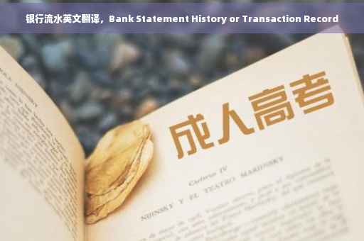 银行流水英文翻译，Bank Statement History or Transaction Record