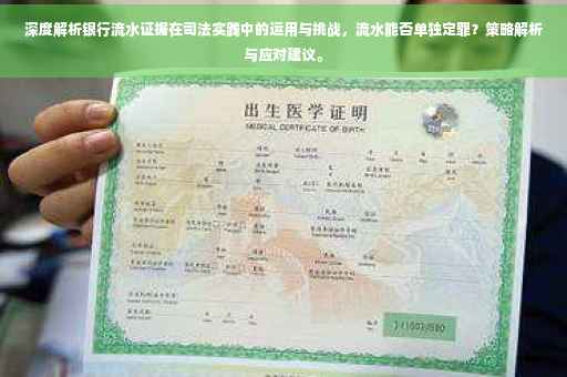 深度解析银行流水证据在司法实践中的运用与挑战，流水能否单独定罪？策略解析与应对建议。