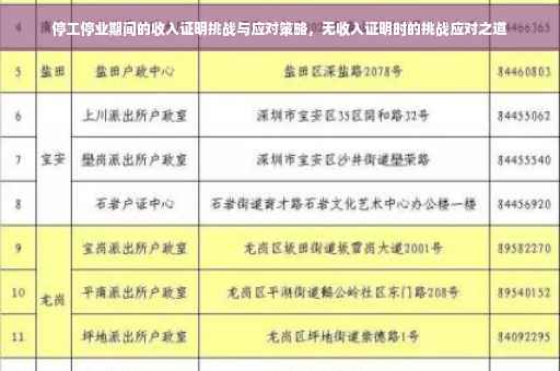 停工停业期间的收入证明挑战与应对策略，无收入证明时的挑战应对之道