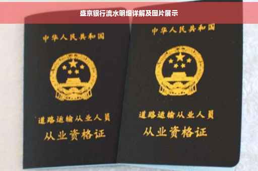 盛京银行流水明细详解及图片展示