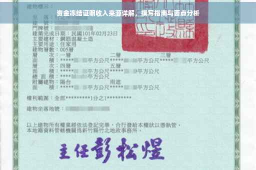 资金冻结证明收入来源详解，撰写指南与要点分析