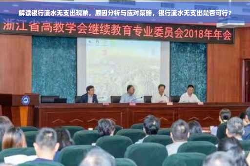解读银行流水无支出现象，原因分析与应对策略，银行流水无支出是否可行？