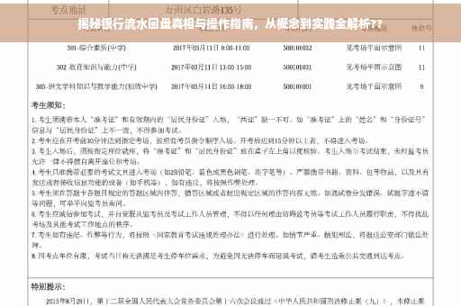 揭秘银行流水回盘真相与操作指南，从概念到实践全解析??