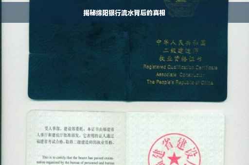 揭秘绵阳银行流水背后的真相