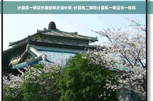 计算机一级证书算初级还是中级-计算机二级和计算机一级证书一样吗