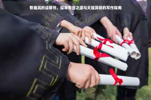智商高的证明书，探寻智慧之源与天赋异禀的写作指南