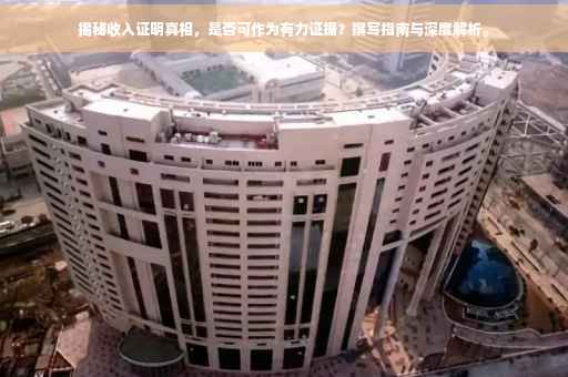 揭秘收入证明真相，是否可作为有力证据？撰写指南与深度解析。