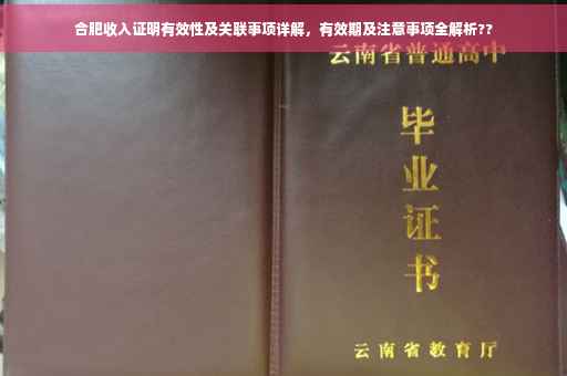 合肥收入证明有效性及关联事项详解，有效期及注意事项全解析??