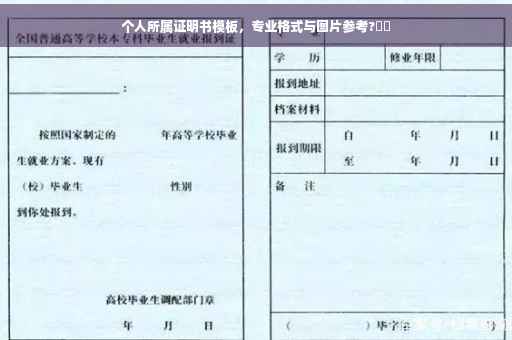 个人所属证明书模板，专业格式与图片参考?⚡️