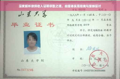 深度解析律师收入证明获取之道，自媒体实用指南与策略探讨