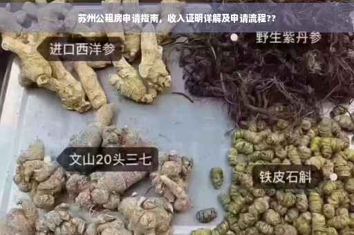 苏州公租房申请指南，收入证明详解及申请流程??
