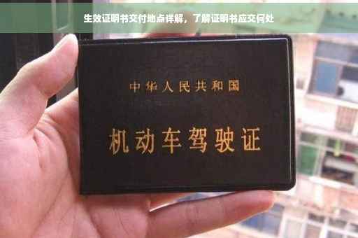 生效证明书交付地点详解，了解证明书应交何处
